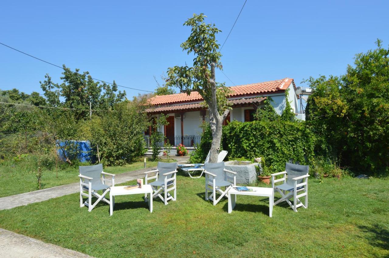 Mr. Greek Villa بترا المظهر الخارجي الصورة